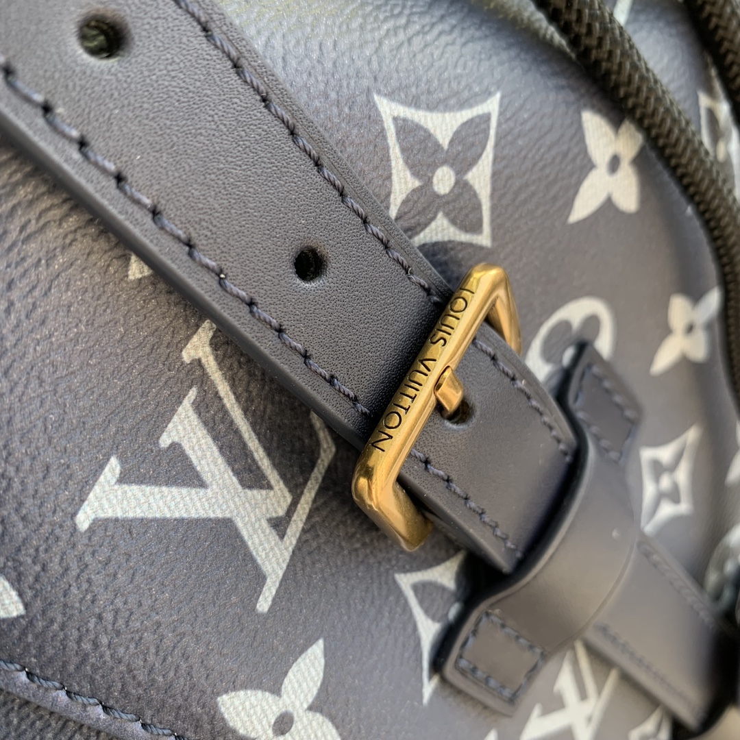 LV Backpacks